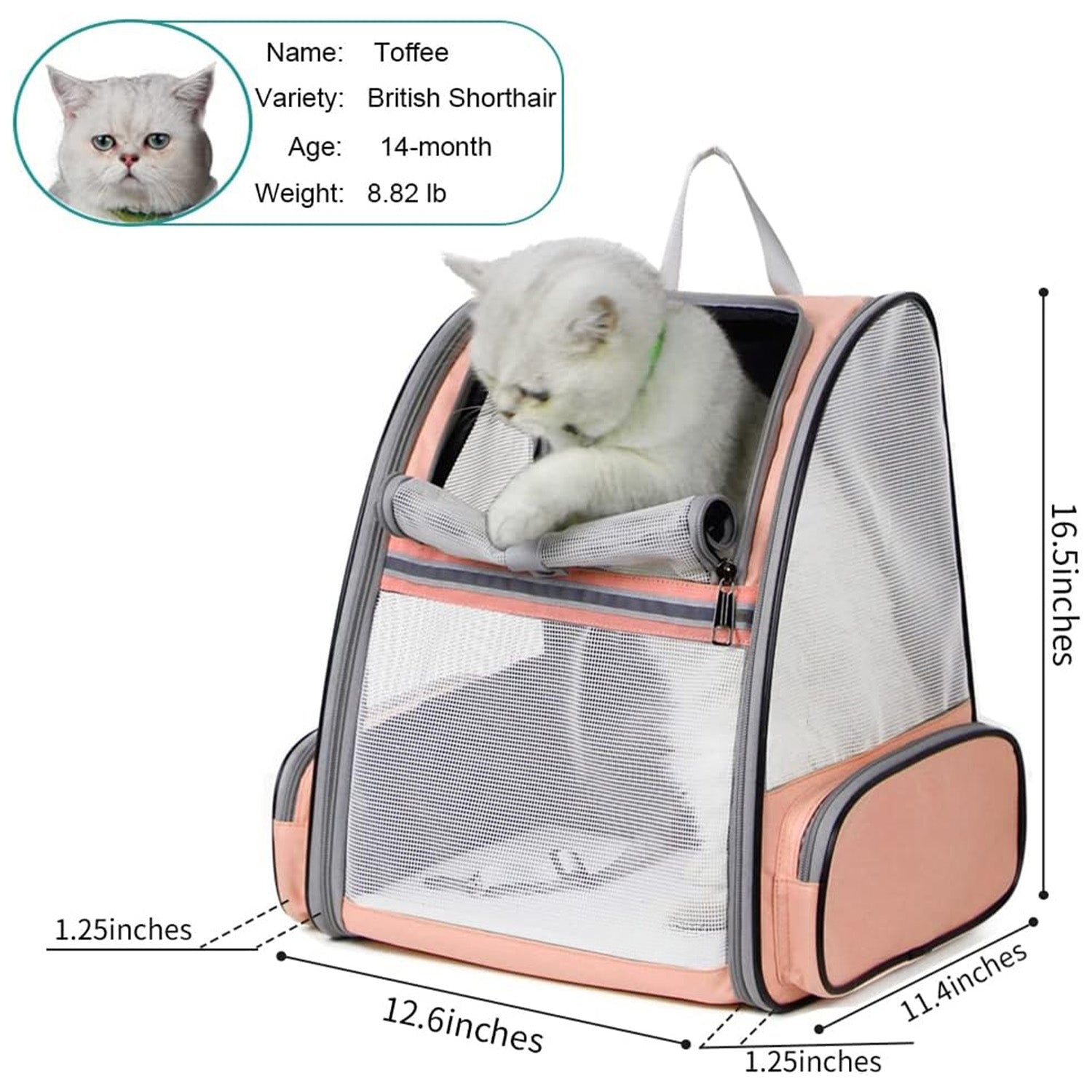 🔥 **#1 Bubble Pet Backpack!** Traveler-Designed Carrier⚡360° Airflow Windows🐾Comfy for Cats/Dogs【TikTok's Pet Travel Obsession】 🔥 **#1 Bubble Pet Backpack!** Traveler-Designed Carrier⚡360° Airflow Windows🐾Comfy for Cats/Dogs【TikTok's Pet Travel Obsession】